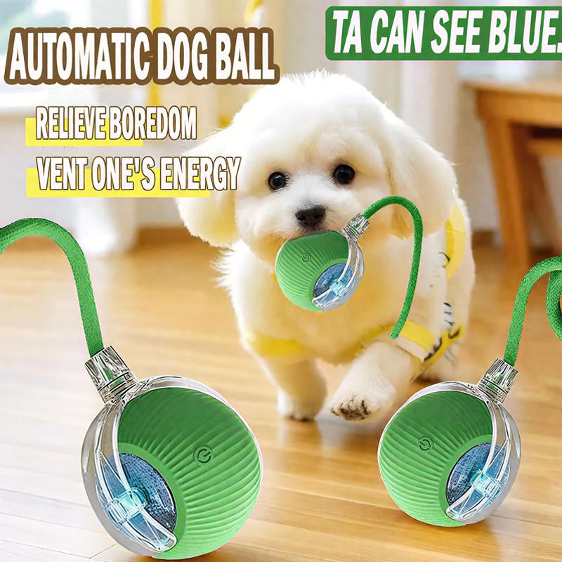 Interactive Cat & Dog Toys for Indoor Cats & Dogs,The 3Rd Generation Agile Moving Cat & Dog Ball with Elastic Mesh Tail,Automatic Toys for Bored Indoor Adult Cats & Dogs ,Motion Activated