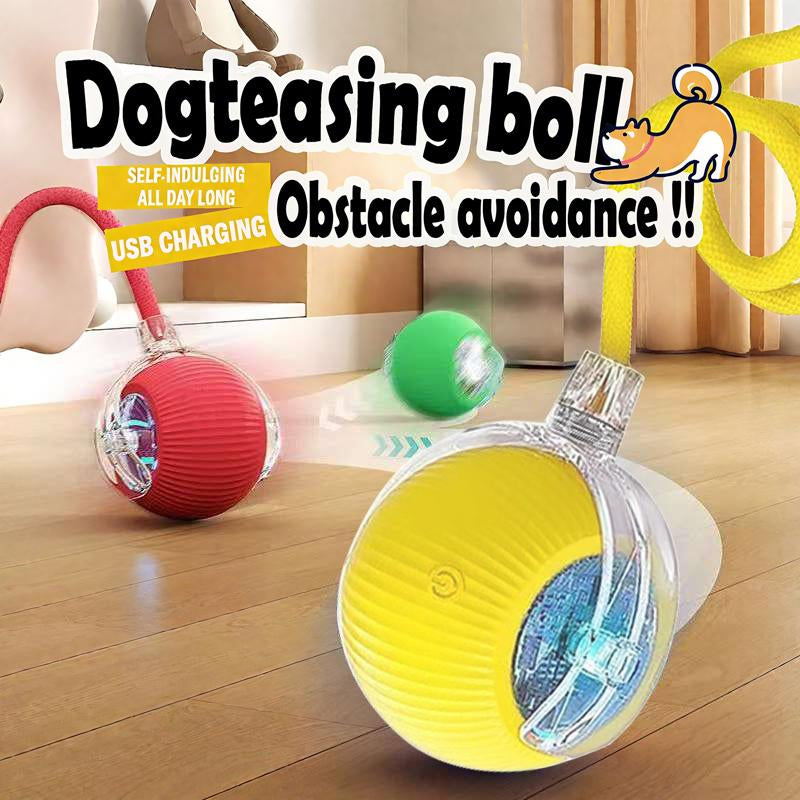 Interactive Cat & Dog Toys for Indoor Cats & Dogs,The 3Rd Generation Agile Moving Cat & Dog Ball with Elastic Mesh Tail,Automatic Toys for Bored Indoor Adult Cats & Dogs ,Motion Activated