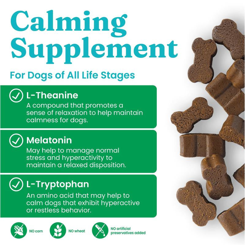 Solid Gold Calming Chews for Dogs, Gut & Immune Support Supplement + Melatonin for Chill Pups